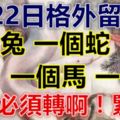 5月22日要格外留心了，一個兔，一個蛇，一個馬，一個虎！