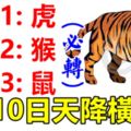 6月10日生肖運勢前三，天降橫財，買張彩票試試！