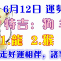 6月12日狗、羊、虎、龍、猴、豬！今天好運相伴，諸事順心！