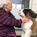 93歲老奶奶的老伴過世後她就一直獨居，直到這隻大狗狗跑來等門...她的每一天都被治癒了！