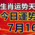 十二生肖運勢天天看，今日運勢：7月16日