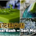 雙層藍花糯米糕（KuehSeriMuka）