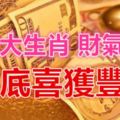 這三大生肖，財氣滔滔，吸金力強，年底喜獲豐收！