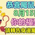 恭喜屬鼠人！8月15日你的福到了，請轉告身邊屬鼠人！