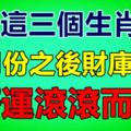 這三個生肖九月份之後財庫打開，好運滾滾而來