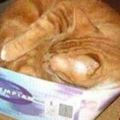 貓咪喜歡睡在盒子裡，半年過去了，盒子還是那個盒子，可是這貓...