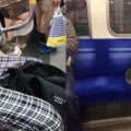 日本東京「通勤貓」，每天都來坐地鐵，很懂禮貌，有時還帶貓友