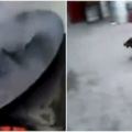 這只小黑狗被丟進沸水「活生生烹煮」，被徒手拔掉半身毛後竟奇跡似的拔腿逃跑！