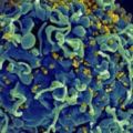 重磅！科學家首次證實HIV病毒「藏身之處」，將消滅體內愛滋病毒