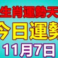 十二生肖運勢天天看，今日運勢：11月7日