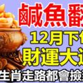 鹹魚翻身！12月中旬後，財運大通順，走路都會撿到錢的生肖【88秒內轉發分享2018走好運！】