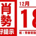 生肖運勢，天天好提示（12月18日）