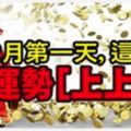 2月第一天，喜鵲叫喜事來，運勢上上簽的3大生肖，恭喜發財！&恭喜！正財流年將至，狗年大吉，諸事順利的4個生肖