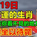 2月19日有財運的生肖，財運在你看不見的地方等著，不要坐以待斃