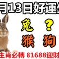 3月13日好運生肖，五福臨門接好運！【兔+？+羊+猴+狗+？】『上榜生肖必轉81688迎財神！』