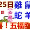 3月25日生肖運勢_雞、鼠、猴大吉