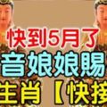 快到5月了，觀音娘娘賜福，【6大生肖，快接喜】