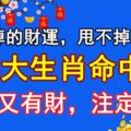 逃不掉的財運，甩不掉的富貴，3大生肖命中有貴又有財，註定有錢