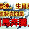 7月過後，生肖馬：你的運勢真的是「萬馬奔騰」