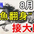 打破僵局，扭轉乾坤！8月4日後8大生肖鹹魚翻身，接大財！