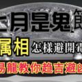 七月是鬼節，十二屬相怎樣避開黴運，易龍教你趨吉避凶！