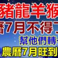 家有豬龍羊猴，農曆7月不得了了！幫他們轉一下！旺到不行！