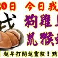 8月20日，今日我最旺！狗雞馬羊鼠猴蛇龍！【38888】越早打開越靈驗！點個讚吧！