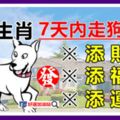 7天內走狗屎運，有添財、添福、添運之喜的6大生肖