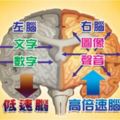 右腦開發?左腦開發?大腦開發的7大迷思!