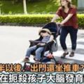 孩子兩歲半以後，出門還坐推車？你正在扼殺孩子大腦發育的機會