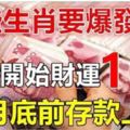 這些生肖要爆發了，6號開始財運一路發，11月底前存款上億