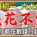 農歷十月初一，這六個生肖翻身大轉運，一整月都在數錢，錢註定花不完！