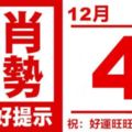 生肖運勢，天天好提示（12月4日）