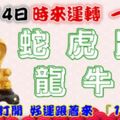 12月14日時來運轉一路發，蛇虎鼠龍牛羊，88秒內打開，好運跟著來『16888』