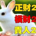 6大生肖鴻運當頭，正財20年，橫財20年，貴人20年