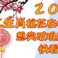 ２０１９十二生肖桃花在哪裡？想突破現狀嗎？快看看吧！