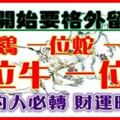 【雞，蛇，馬，牛，鼠】從今天開始要格外留心了~必須轉啊