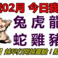 20號02月，今日我最旺！兔虎龍猴蛇雞豬狗！【90288】越早打開越靈驗！點個讚吧！