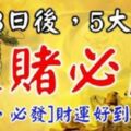 3月3日後，五大生肖，逢賭必贏『必轉必發』財運好到擋不住