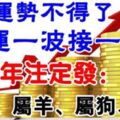 4月運勢「了不得」，好運一波接一波，2019年註定發大財的生肖