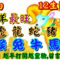 2019年5月9日，星期四，農歷四月初五（己亥年己巳月丙午日）