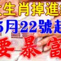 5月22號開始，九大生肖掉進錢堆，要暴富