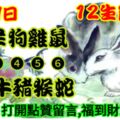 2019年6月19日，星期三，農歷五月十七（己亥年庚午月丁亥日）