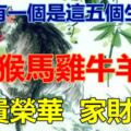 家裡有一個是這五個生肖的，真是不得了，一家子跟著沾喜，榮華富貴