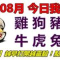 11號08月，今日我最旺！雞狗豬鼠牛虎兔龍！【11888】越早打開越靈驗！點個讚吧！