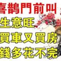 9月喜鵲門前叫：三喜引進門的6大生肖