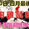 4月30日，四月最後一天，屬龍、狗、雞、鼠、豬、馬必轉