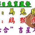 6月25日生肖運勢_馬、兔、豬大吉