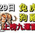 6月29日生肖運勢兔、虎、羊大吉