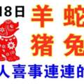 12月18日生肖運勢_羊、蛇、狗大吉